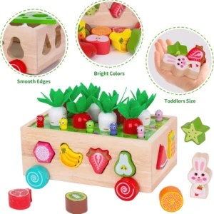 Shape Sorting Toys 1st Birthday Gifts for Kids 1-3, Wood