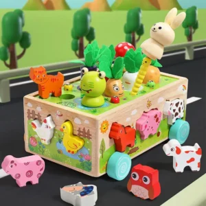 Wooden Shape Assortment Matching Toys